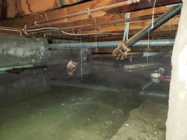 Best 24/7 water damage repair  in Jacksboro, TN