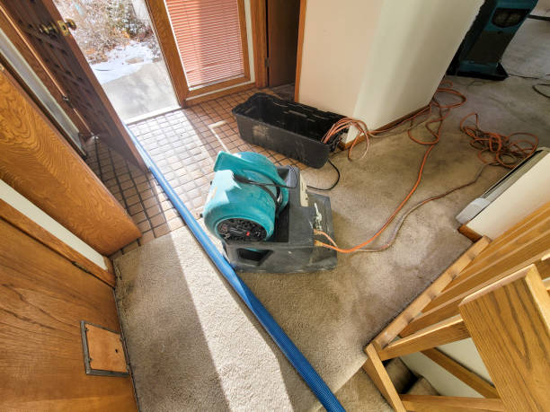 Best Sewage cleanup and water damage restoration  in Jacksboro, TN