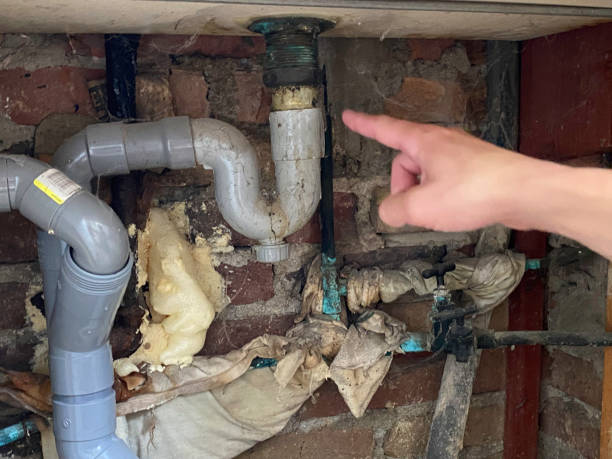 Best Residential water damage restoration  in Jacksboro, TN